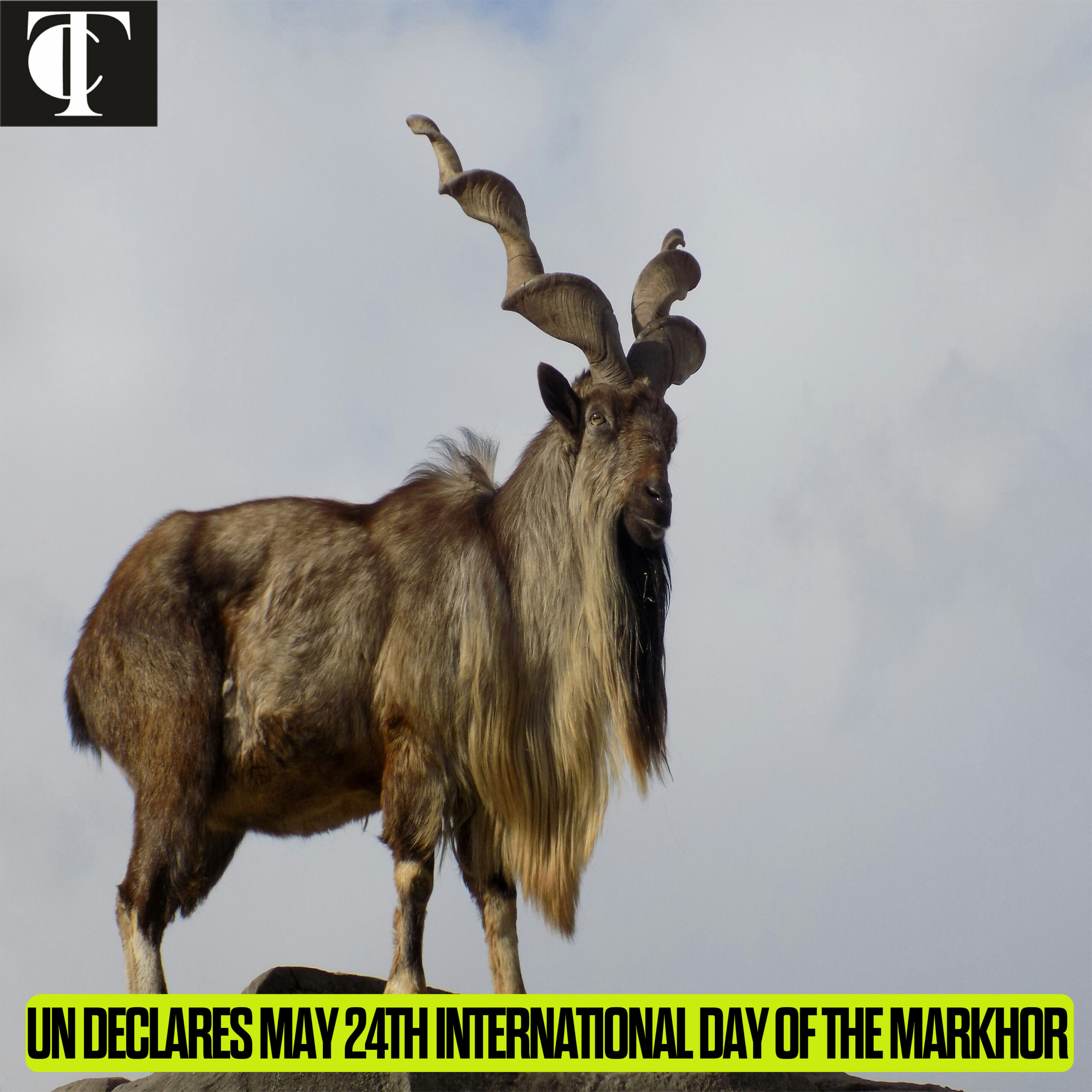 INTERNATIONAL DAY OF MAKHOR