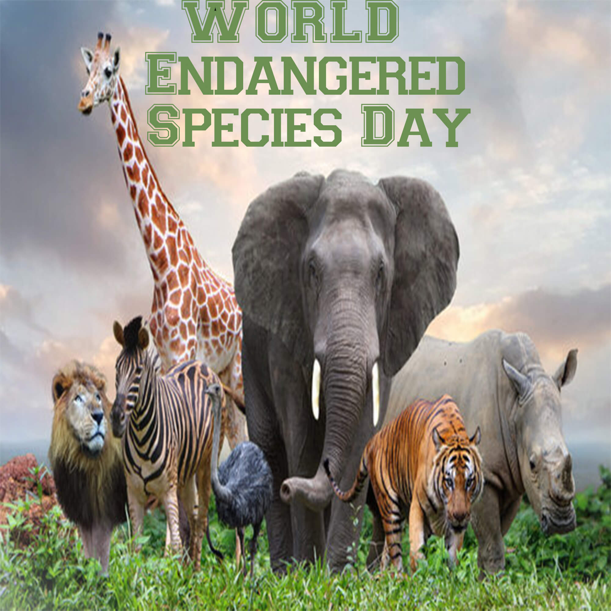 WORLD ENDANGERED Species Day