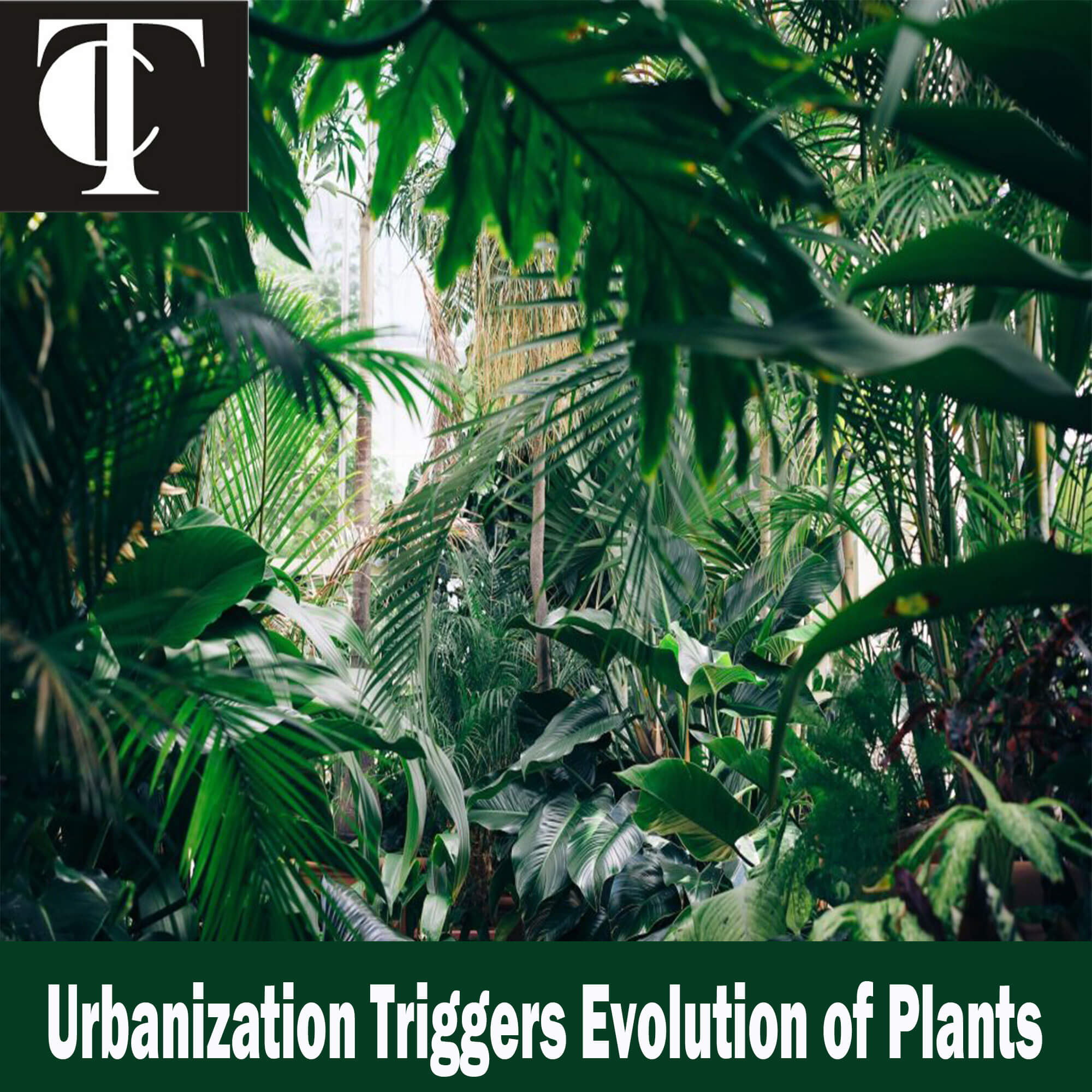 Urbanization Triggers Evolution of Plants