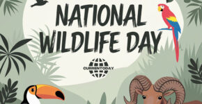 National Wildlife Day