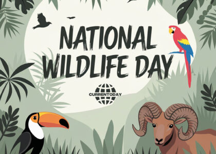 National Wildlife Day